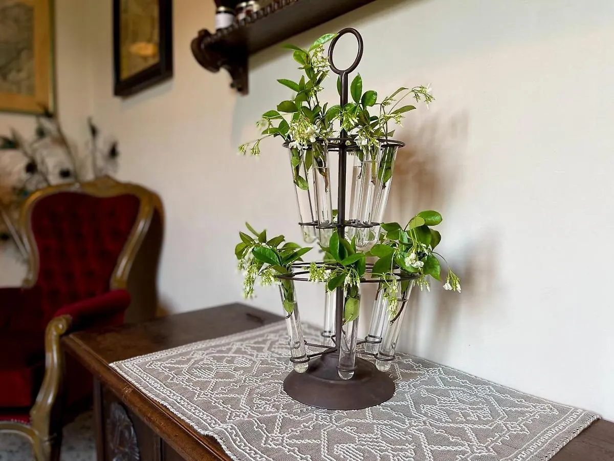 Farm stay Agriturismo Villa La Fontina Castiglion Fiorentino