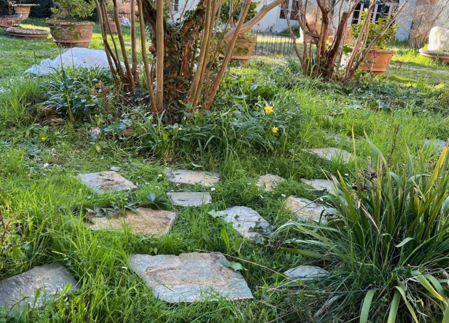 Agriturismo Villa La Fontina Castiglion Fiorentino Farm stay